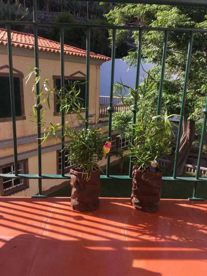 Sol Apt Beachfront Duplex Ponta do Sol  Exterior foto